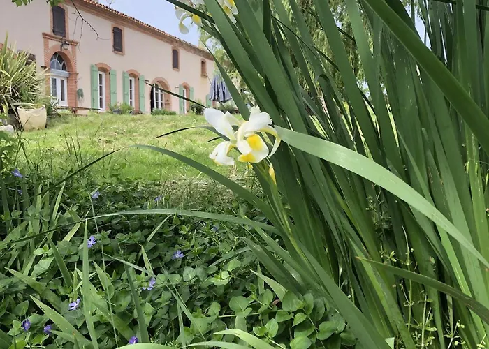 Bed and Breakfast Labastilac Plume Garganvillar